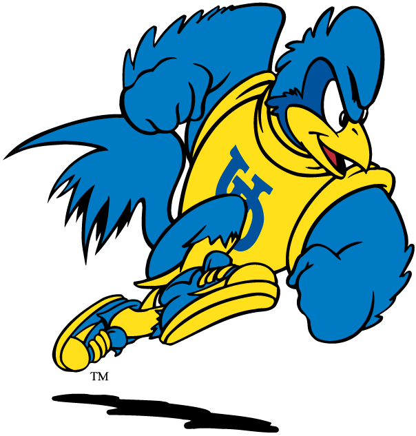 delaware blue hens 1993-pres mascot logo t shirts iron on transfers v2